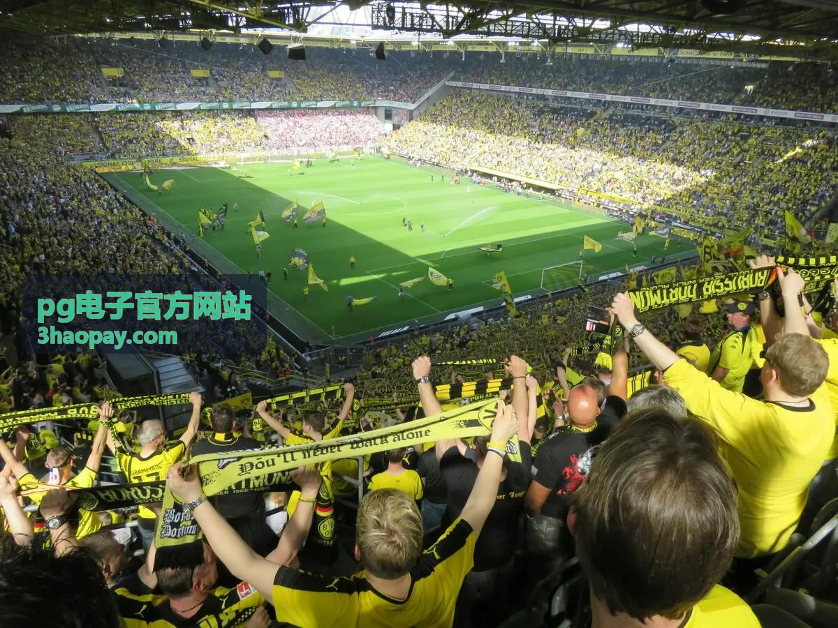 pg电子官方网站 经典游戏场景